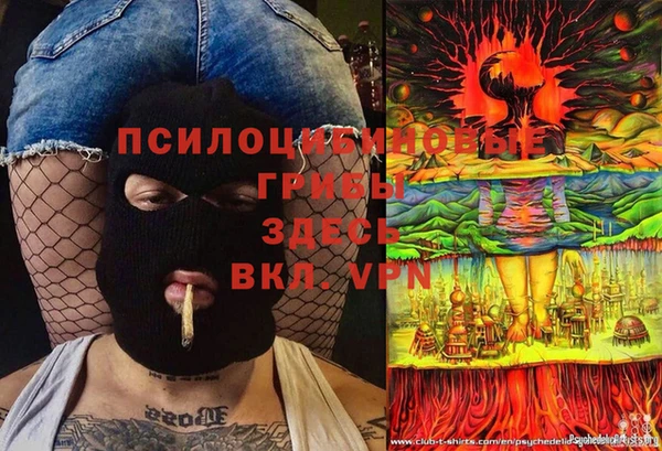 шишки Краснотурьинск